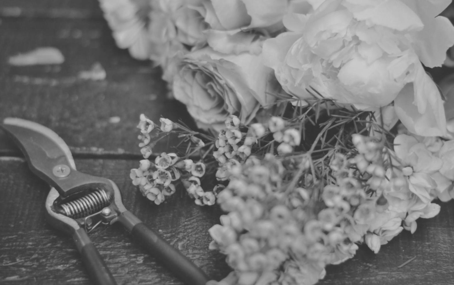 Floristisches Detail – Unterstützungsbild für FAQ-Bereich