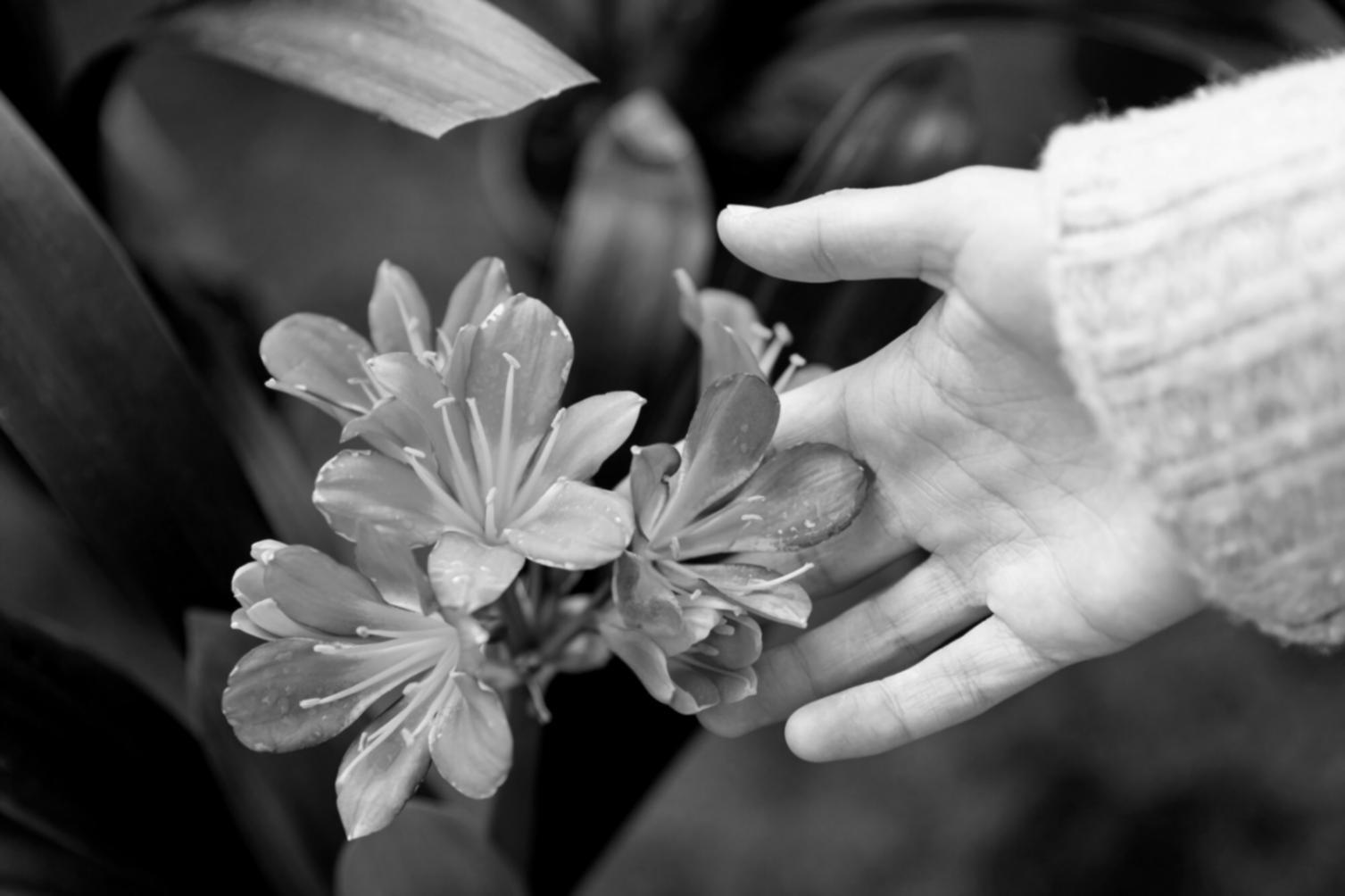 Proportionsanalyse in der floristischen Gestaltung